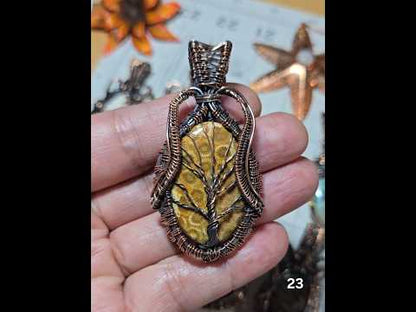 #23 Fossil Coral Wire-wrapped Pendant