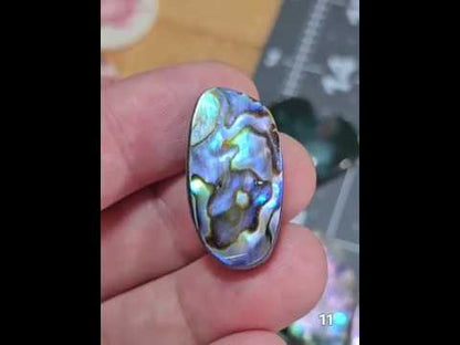 #11 Abalone Shell
