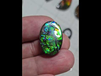 #8 Ammolite 3.9g