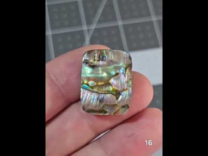 #16 Abalone Shell