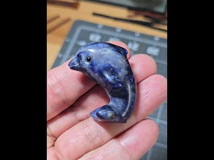 Sodalite Dolphin Carving