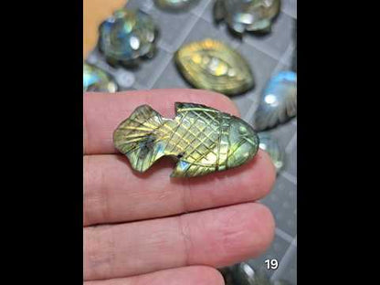 #19 Carved Fish Labradorite Cabochon