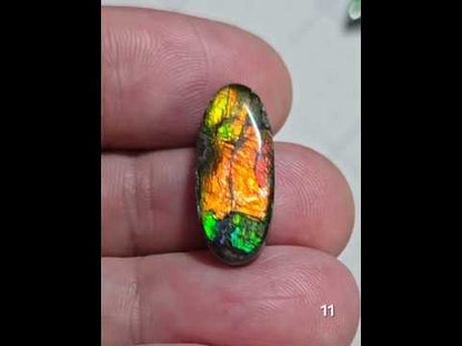 #11 Ammolite 1.9g