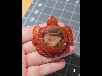 #3 Carnelian Druzy Sea Turtle