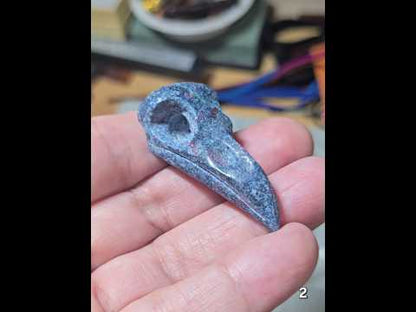 #2 Ruby Kyanite Raven Skull