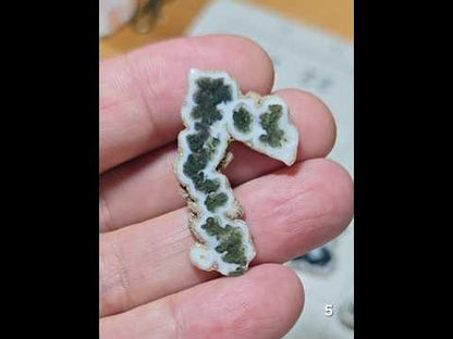 #5 Moss Agate Stalactite Slice