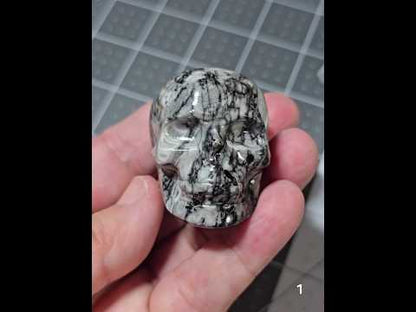 #1 Fossil Stone Skull