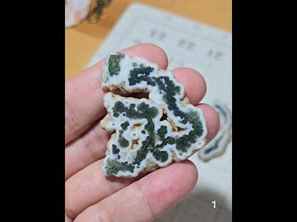 #1 Moss Agate Stalactite Slice
