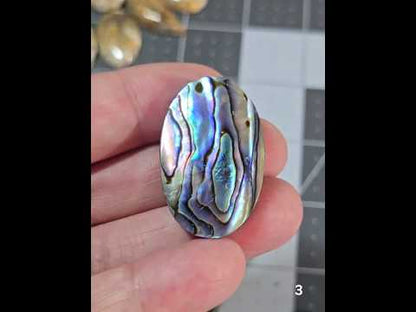 #3 Abalone Shell