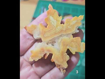 #3 Crazy Lace Agate Druzy Snowflake