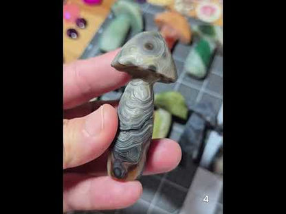 #4 Gobi Agate Mushroom