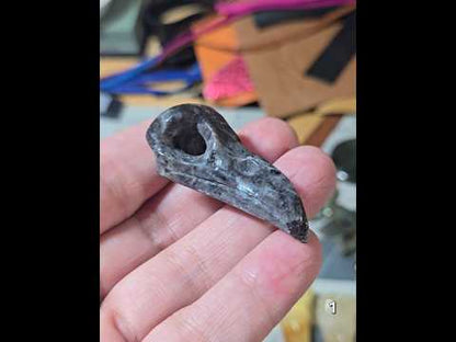 #1 Labradorite Raven Skull