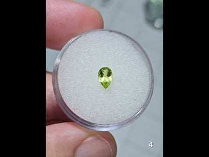 #4 Peridot