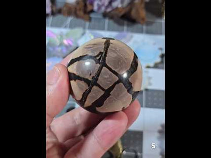 #5 Picture Jasper Sphere