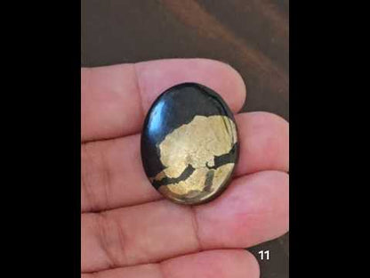 #11 Apache Gold