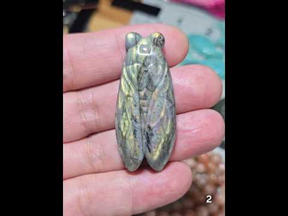 #2 Labradorite Cicada Carving