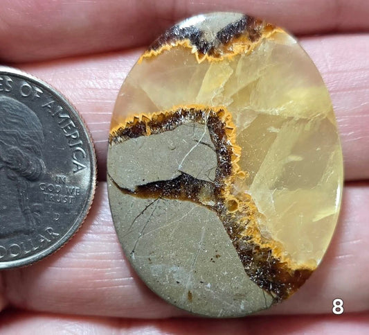 #8 Yellow Septarian