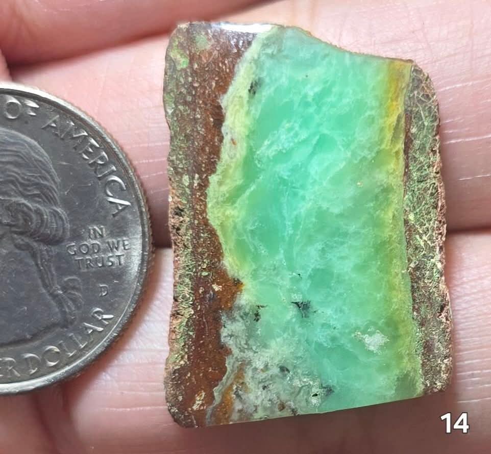 #14 Australian Chrysoprase Slice