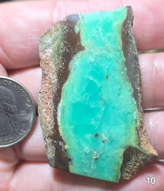 #10 Australian Chrysoprase Slice