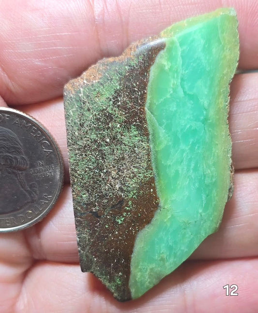 #12 Australian Chrysoprase Slice